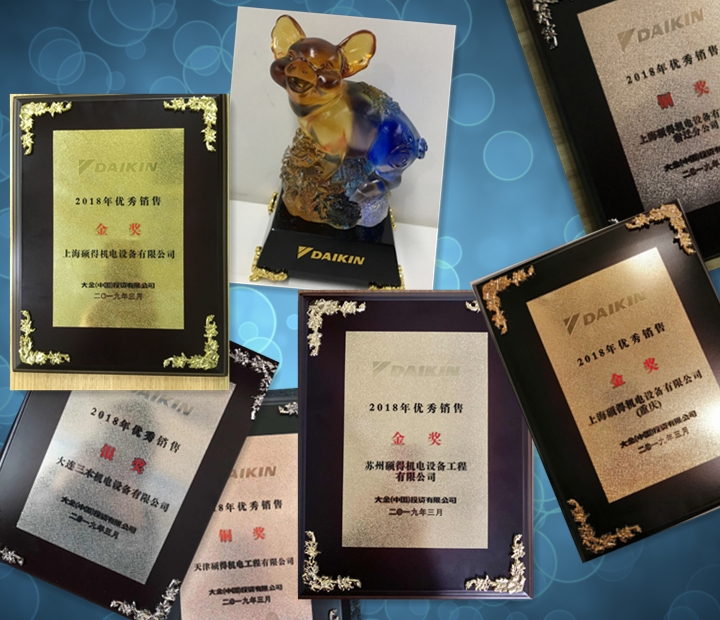 大金空调销售奖